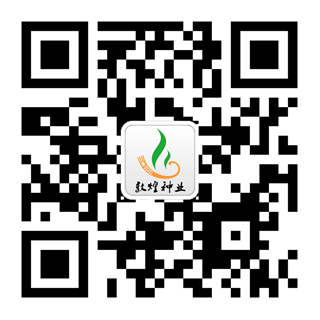 手機訪(fǎng)問(wèn)