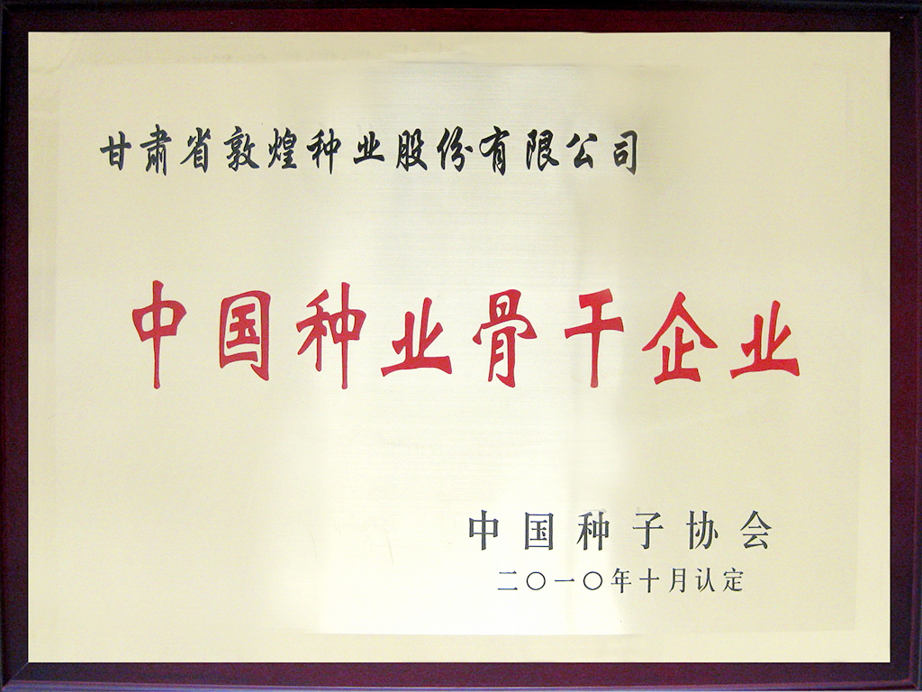 中國種業(yè)骨干企業(yè)