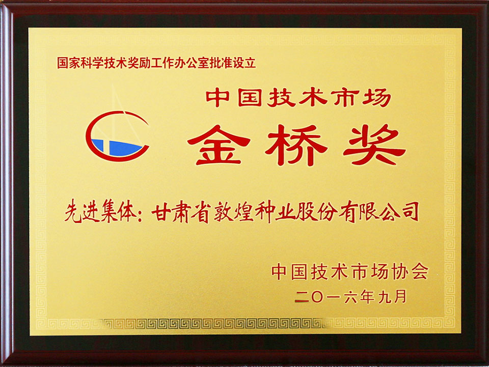中國技術(shù)市場(chǎng)金橋獎
